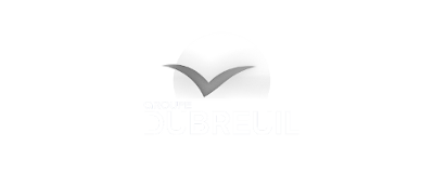 groupe dubreuil logo 2