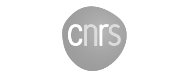 logo cnrs 3
